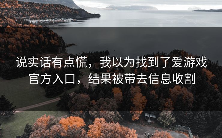 说实话有点慌，我以为找到了爱游戏官方入口，结果被带去信息收割
