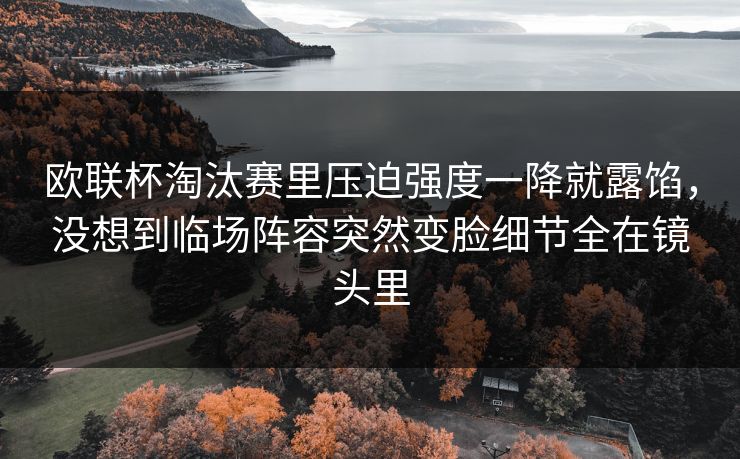 欧联杯淘汰赛里压迫强度一降就露馅，没想到临场阵容突然变脸细节全在镜头里