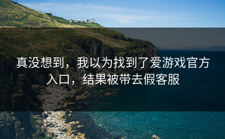 真没想到，我以为找到了爱游戏官方入口，结果被带去假客服